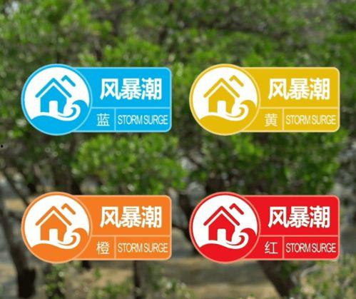 泰安胖哥爆料视频最新消息,揭秘事件背后惊人真相！