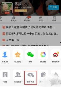 qq兴趣部落最新爆料,揭秘热门话题背后的秘密